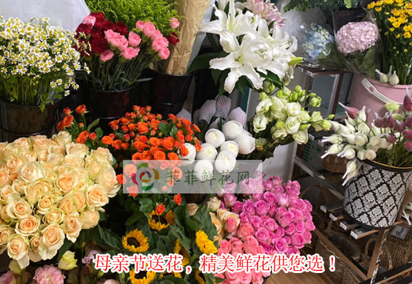 2024益阳桃江县母亲节送花,益阳桃江县精美鲜花供您选!