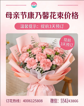益阳桃江县花店母亲节康乃馨花束