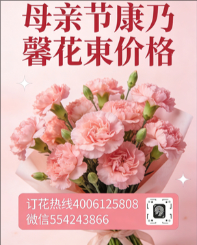益阳桃江县花店母亲节康乃馨花束