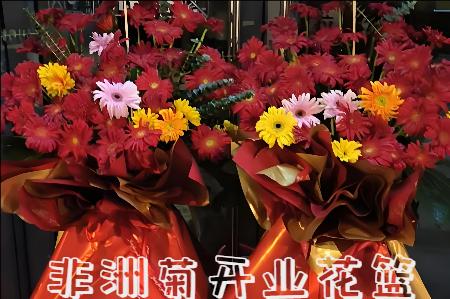 益阳桃江县开业花篮